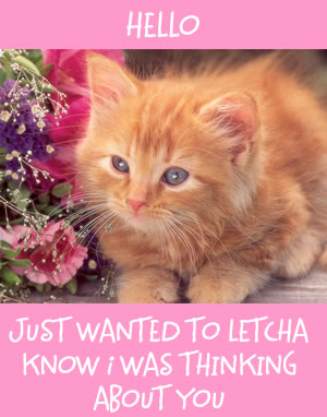 they are sweeeeeeeeeeeeet